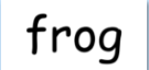 a frog